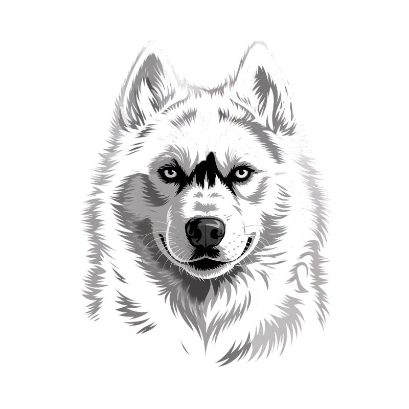 Husky