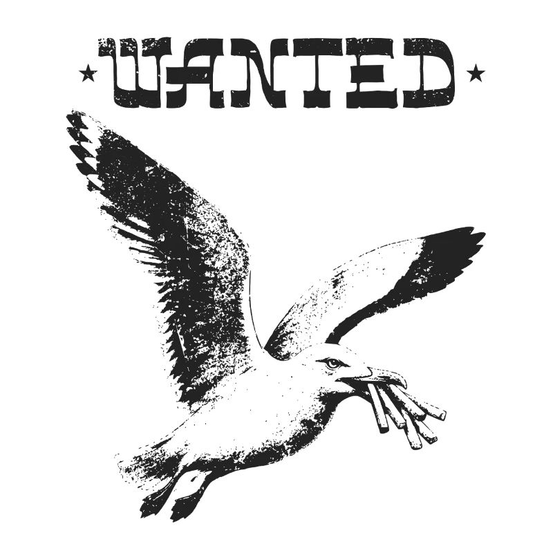 Wanted - Thieving Seagull