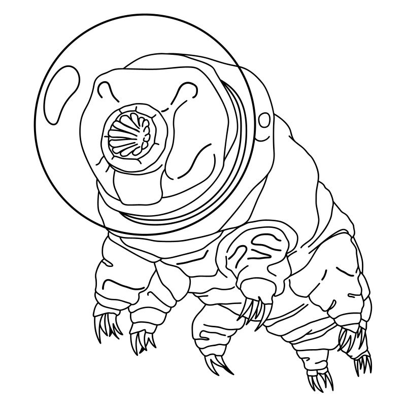 Tardigrade astronaute