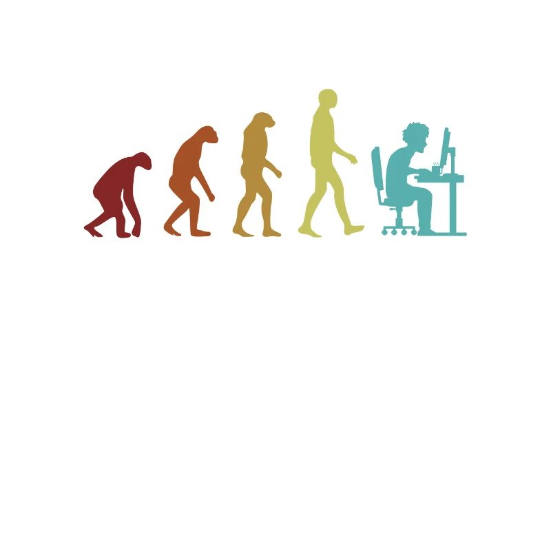 Programmeur Evolution Ingénieur logiciel Codeur