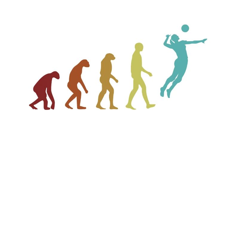 Volleyball Evolution Player Coach Team Trainer