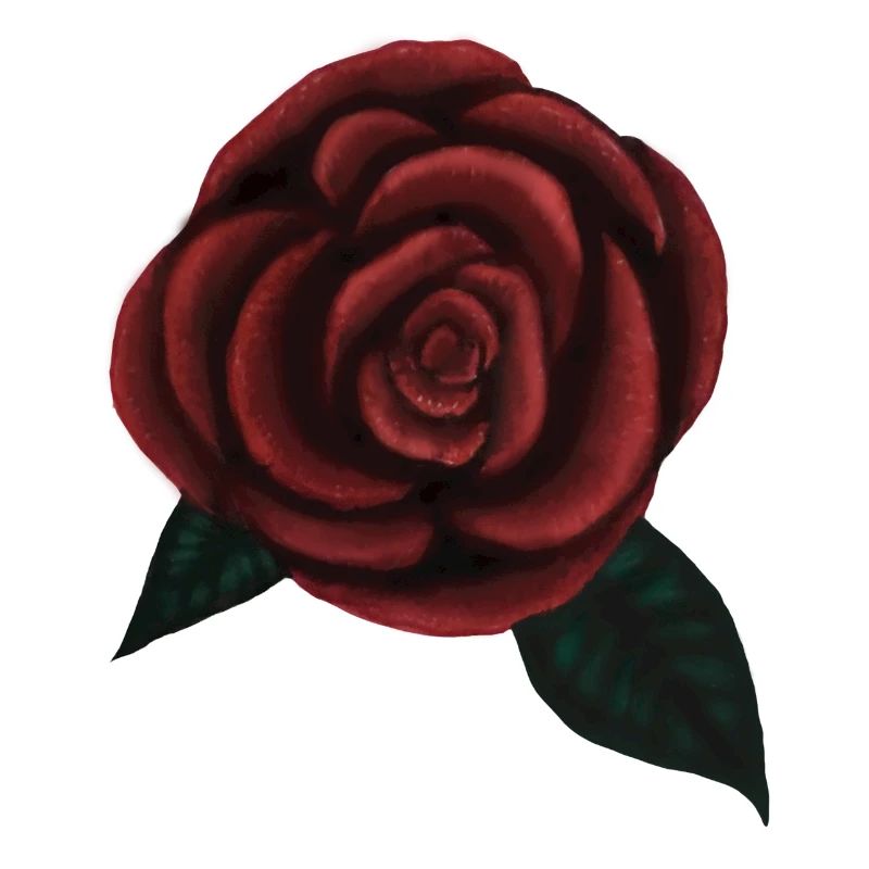Une rose