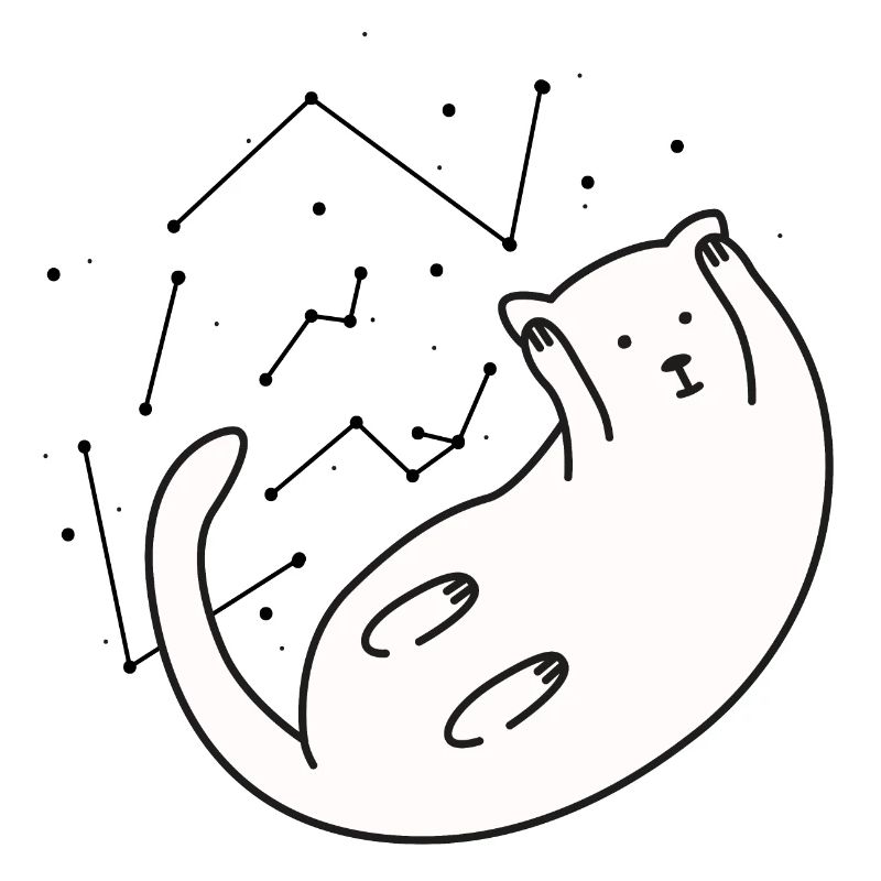 Space Cat Version 2