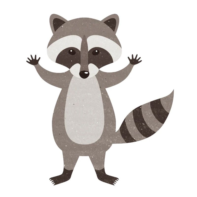 Waschbär