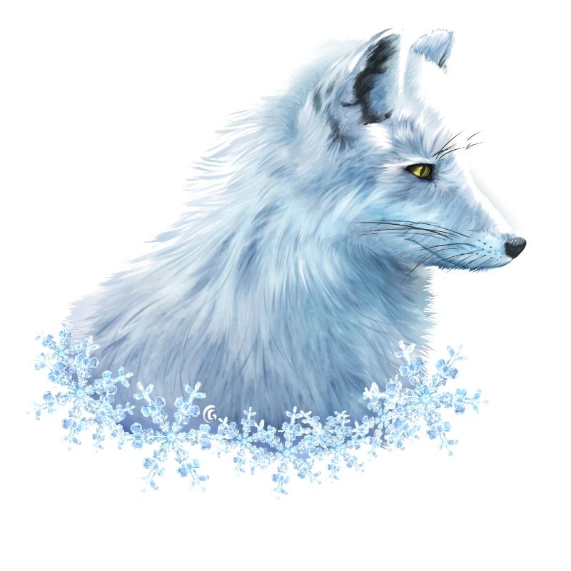 Polarfuchs