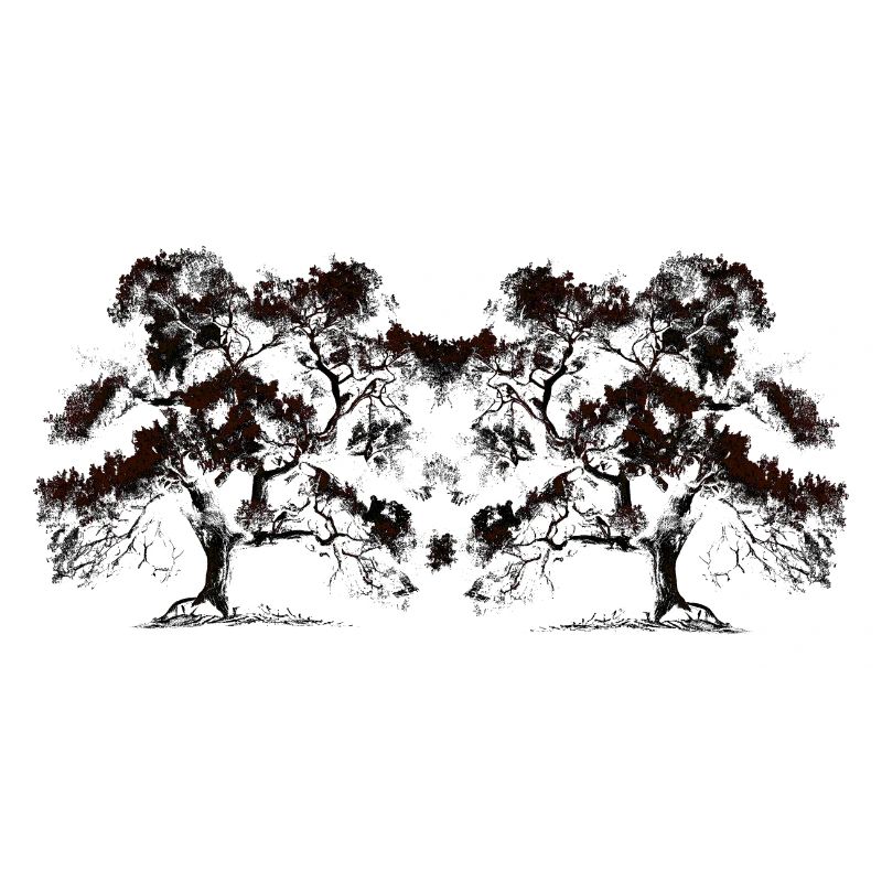 Tree, Trees, Botany, Flora, Forest, Nature