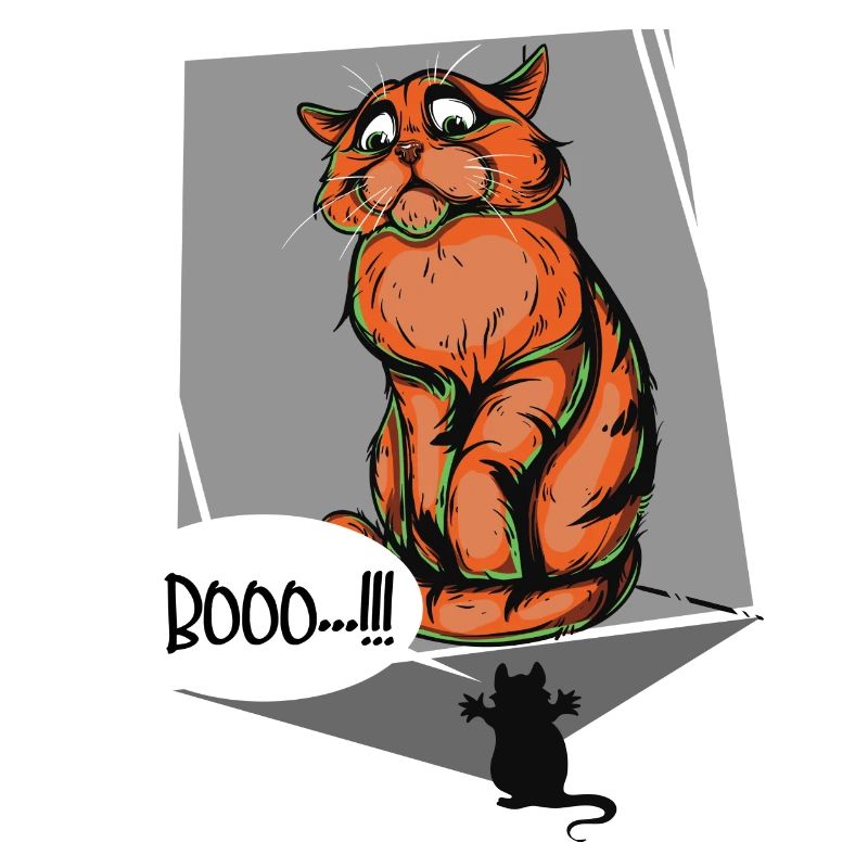Booo