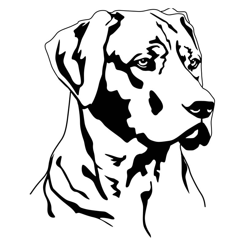 Tête Rhodesian Ridgeback