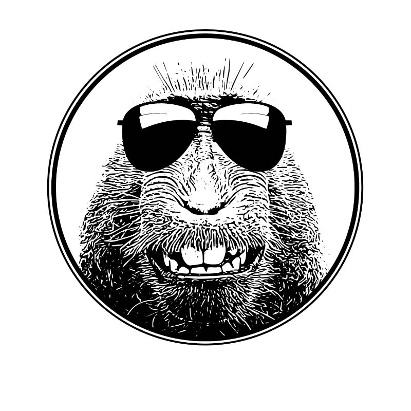 Monkey with sunglasses for summer sun cool monkeys