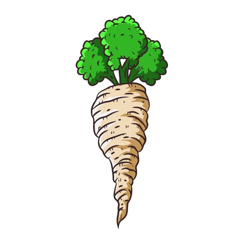 parsnip