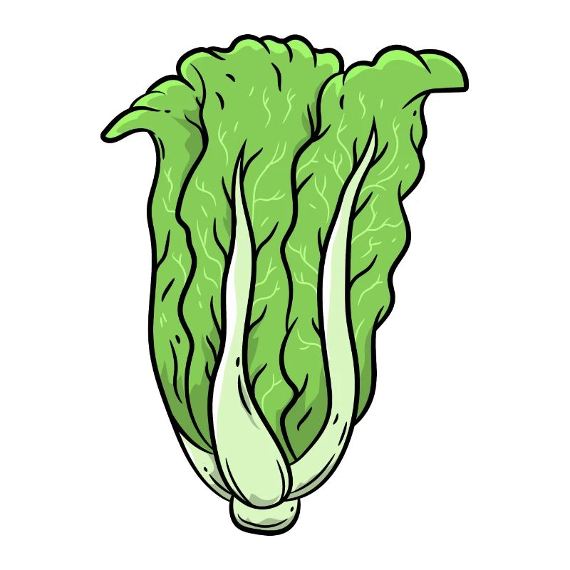 Kohl Gemüse