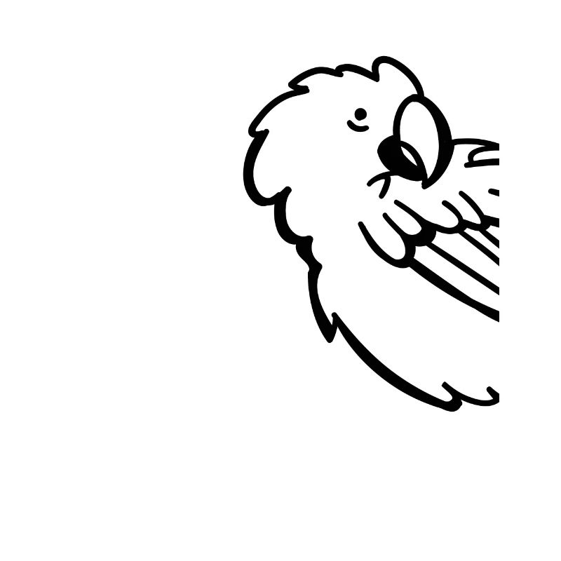 Perroquet Oiseau Perroquet Perruche Oiseau