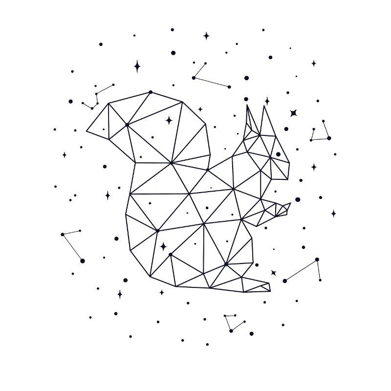 Sternbild Squirrel Constellation Squirrel