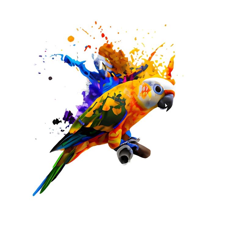 Perroquet - Explosion de couleur