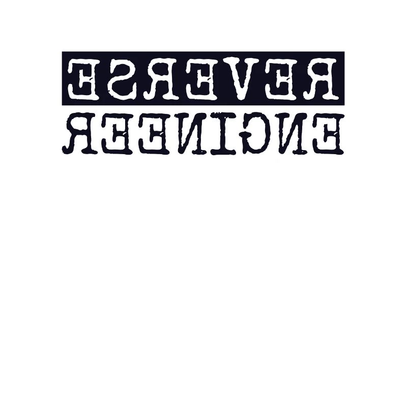 Reverse Engineer Softwareingenieur Developer