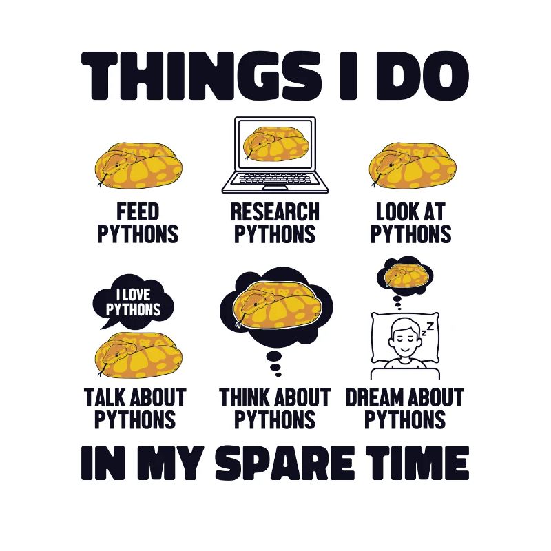 Things I Do In My Spare Time Python Banana Ball