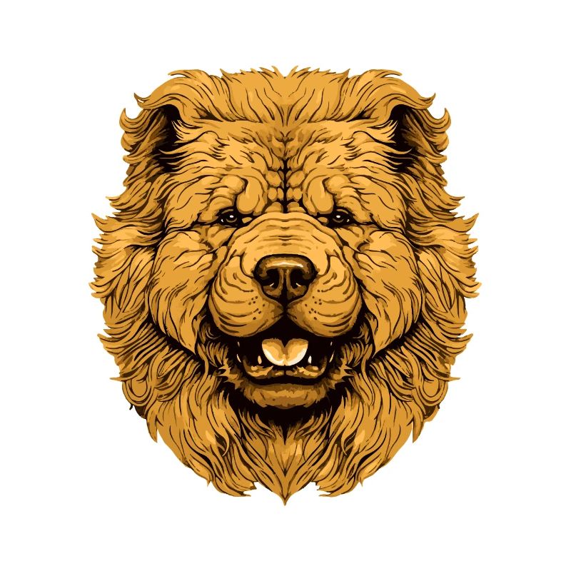 Tête de chien Chow Chow