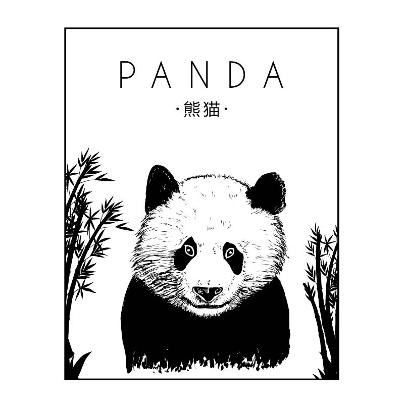 Panda Chinois Hanzi Panda Ours Ami Panda Géant