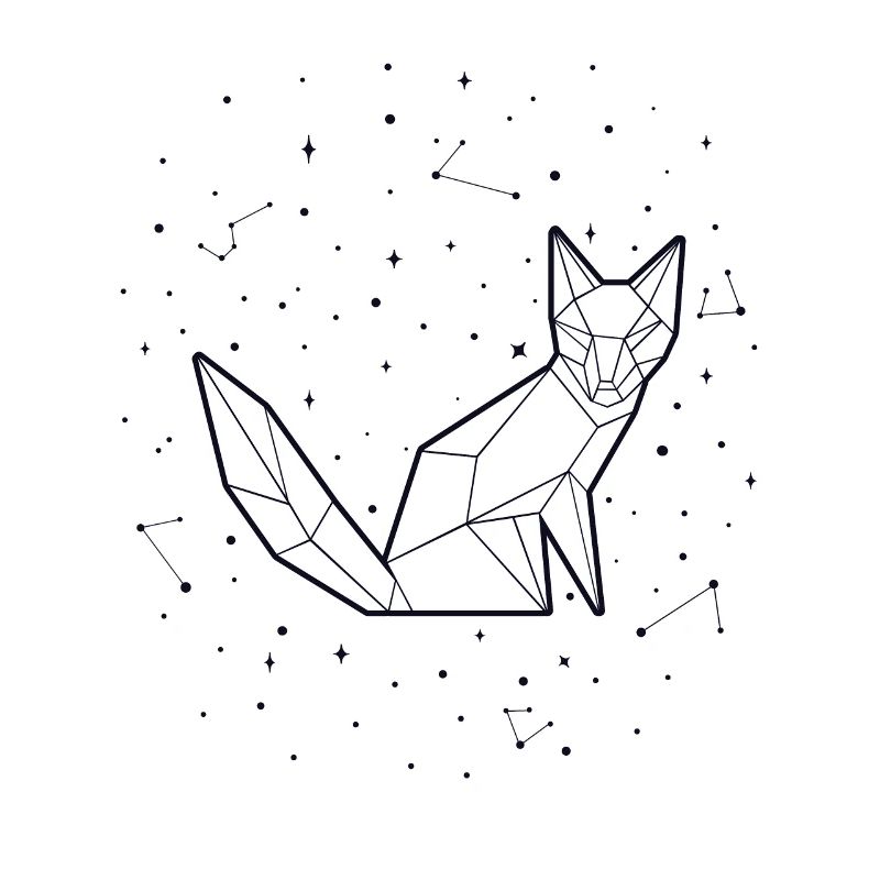 Sternbild Fuchs Sternbild Rotfuchs Canidae