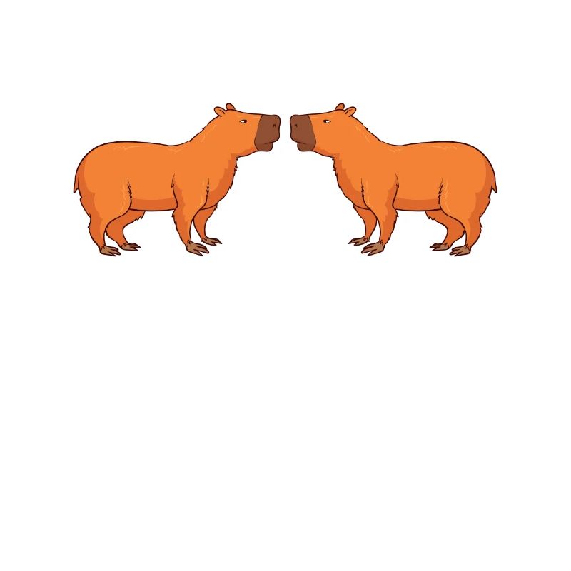 IT Geek, PC Accessories Storage Devices Evolution