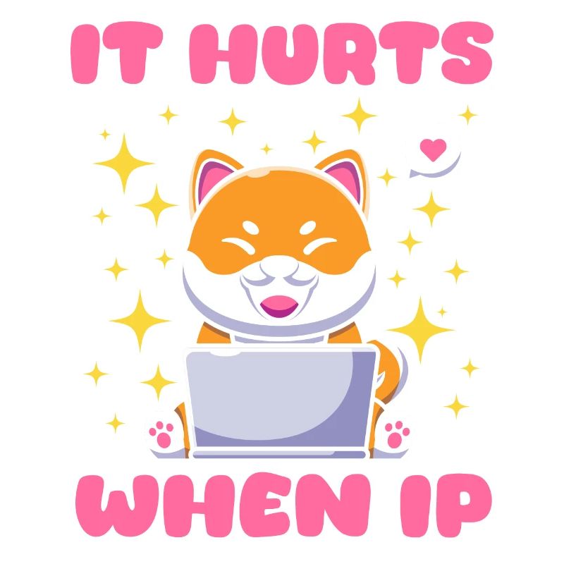 IT Geek, Accessoires PC Périphériques de stockage Evolution