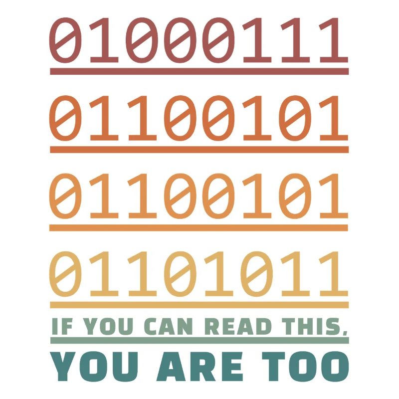 IT Geek, Accessoires PC Périphériques de stockage Evolution