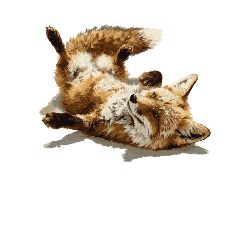 Cute Relaxed Fox – Playful Forest Animal