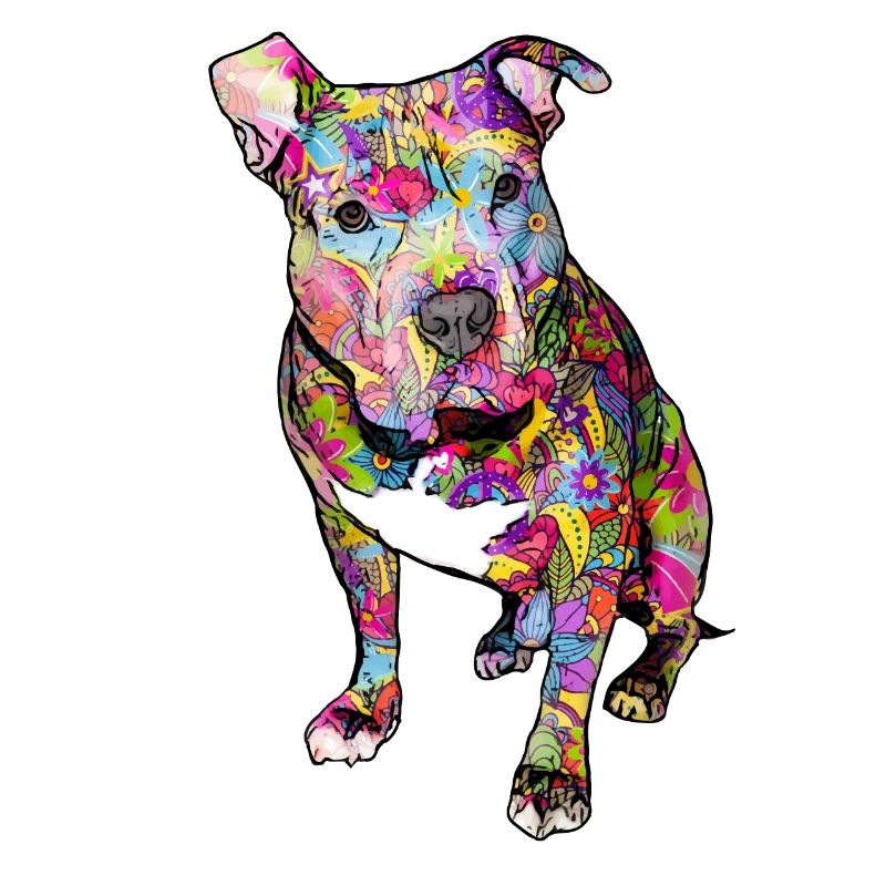 Pitbull Hippie
