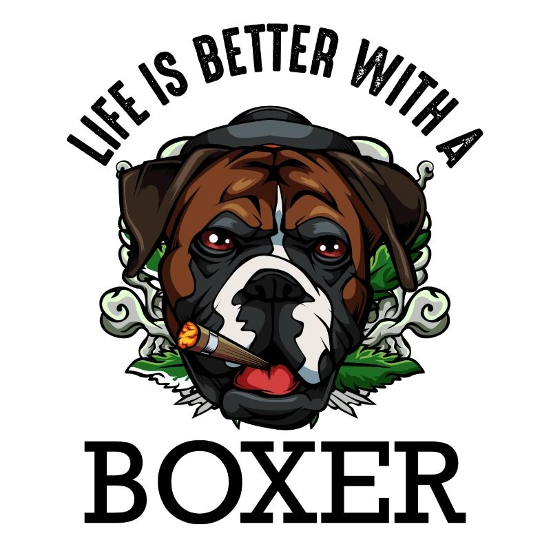 Boxer