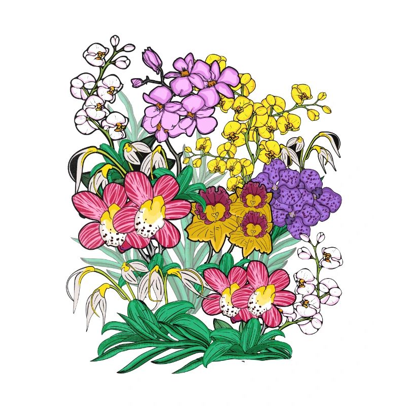 Orchideen Blumen Pflanzen Geschenk Orchidee