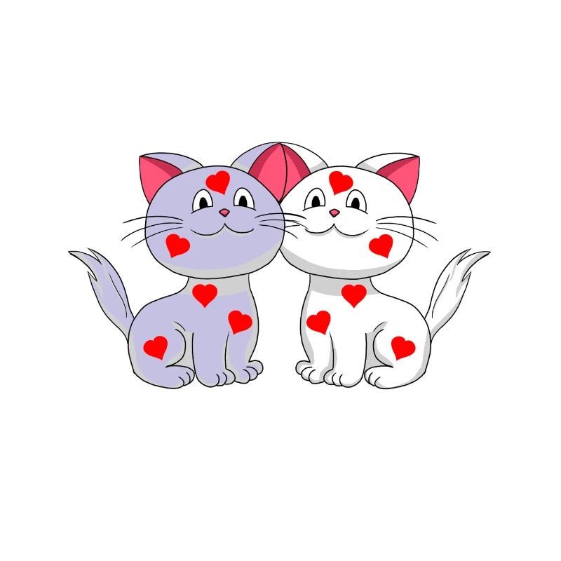 Coeurs de chat Coeurs Saint-Valentin Saint-Valentin Chats