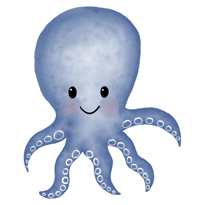Octopus squid