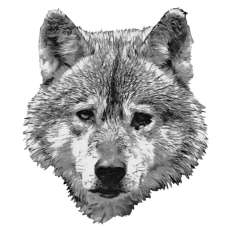 BERIX WOLF Kopf SW