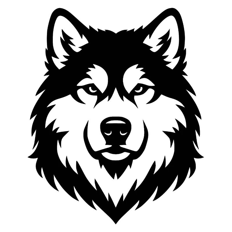 Alaskan Malamute schwaz