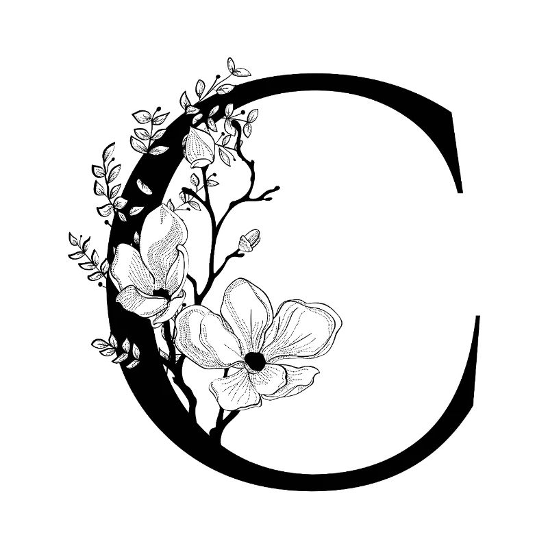 Alphabet C