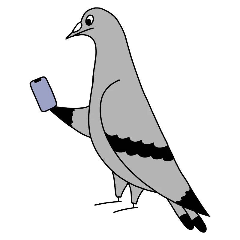 Pigeon Checking Phone – Minimal Illustration