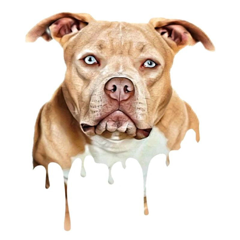 Bully Art American Bully Exotic Bully