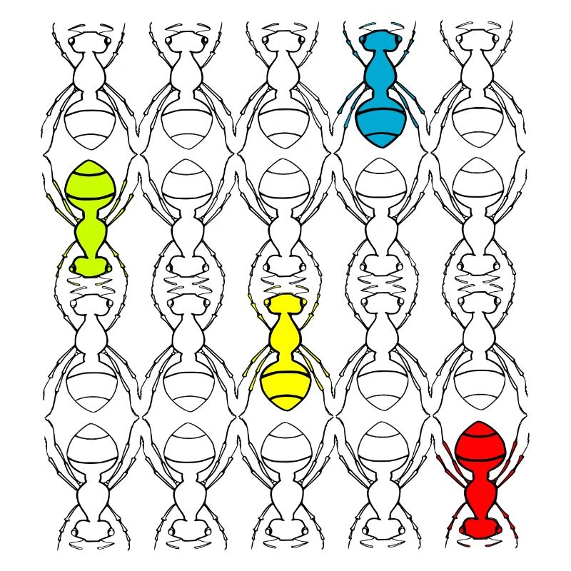 Ants