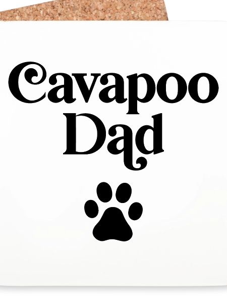Cavapoo Vater