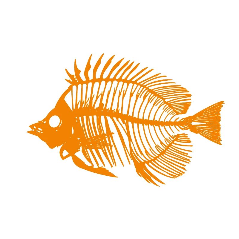 Fisch Orange