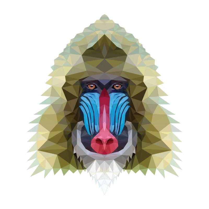 Monkey polygon design gift