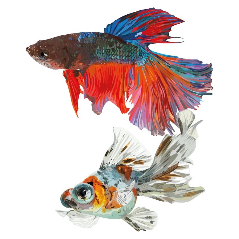 Fische
