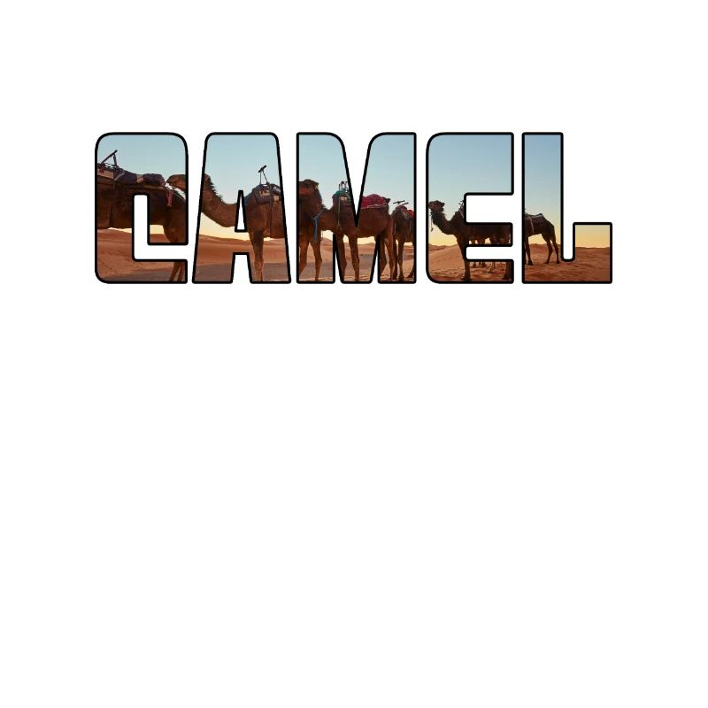 Kamel