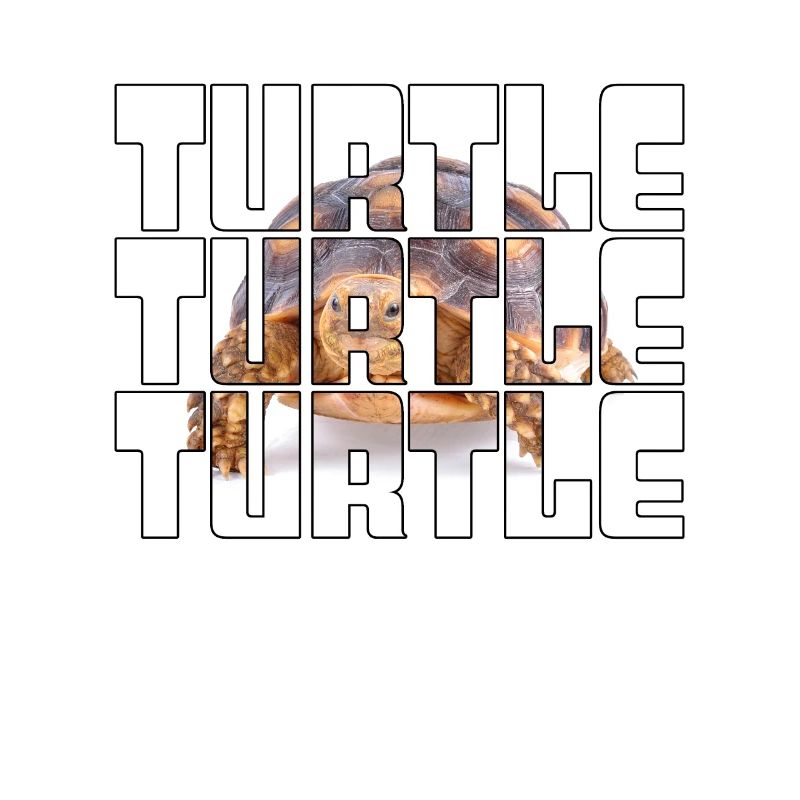 Schildkröte