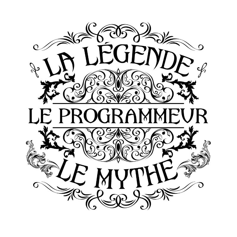 Programmeur | la légende Programmeur le mythe
