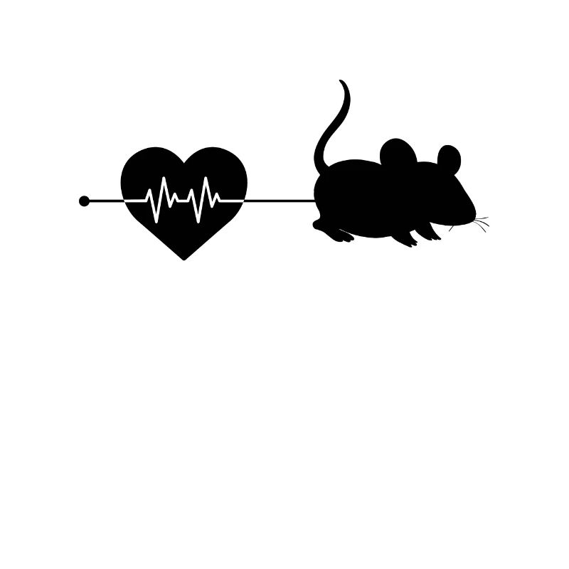 Mouse heartbeat