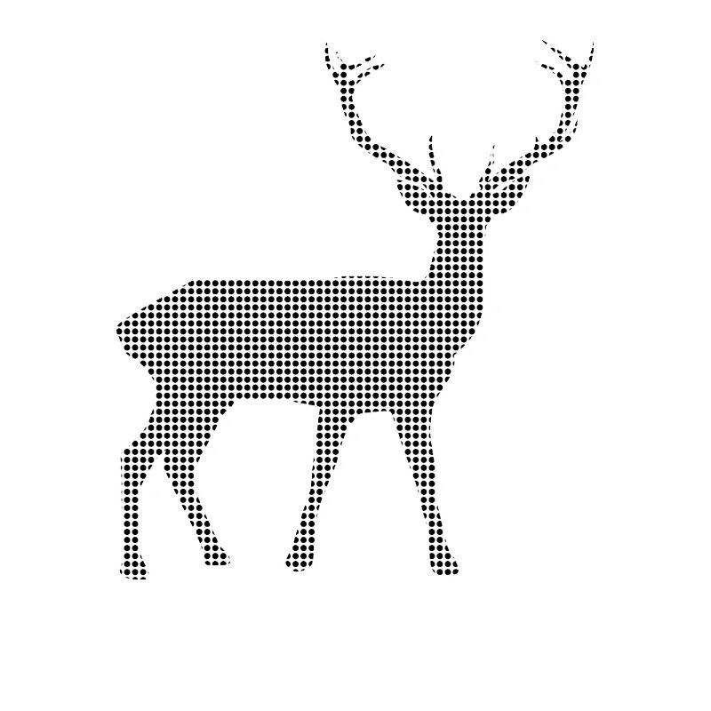Hirsch