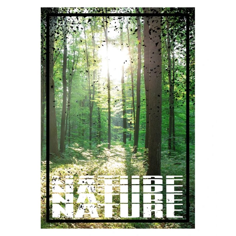 Nature Forest