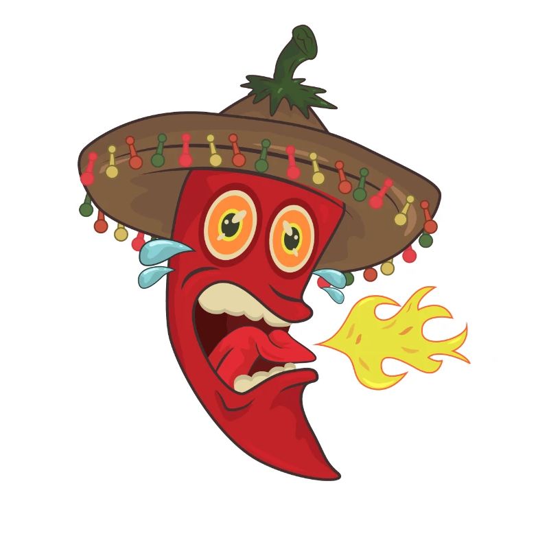 Chilli Kochen Koch