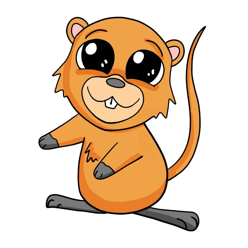 Quokka